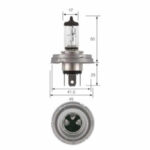 "24V 100/90W P45T Base Narva H4 Globe - Brighten Up Your Vehicle!"