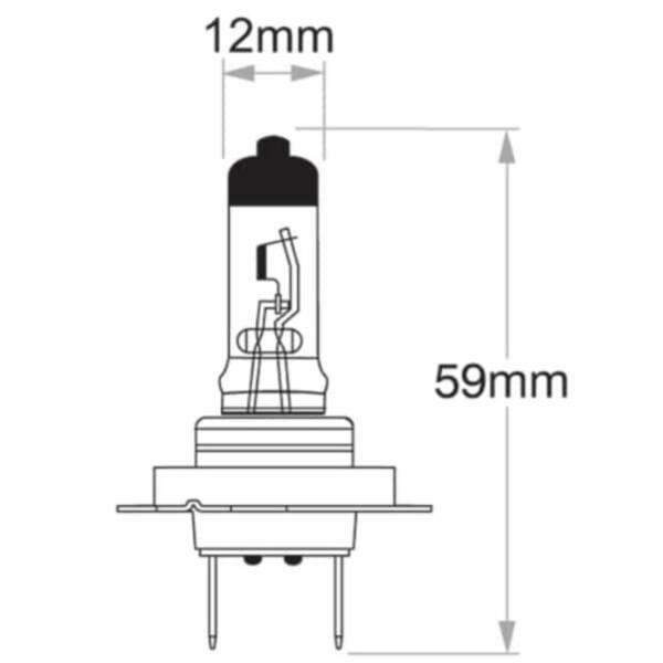 "High Quality H7 Globe 12V 55W Standard - 1 Piece | Best Price Guaranteed"
