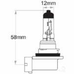 "Oex H8 Globe 12V 35W Standard - 1 Piece | High Quality, Affordable Lighting"