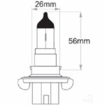 "Oex H13 Globe 12V 60/55W Standard - 1 Piece | High Quality, Long-Lasting Bulb"