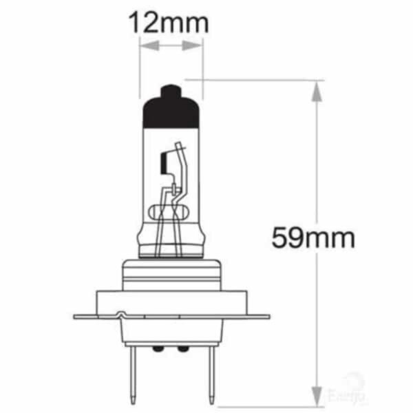 "Oex H7 Globe 12V 55W Xenon Plus 30 - 1 Piece | Bright & Powerful Headlight Bulb"