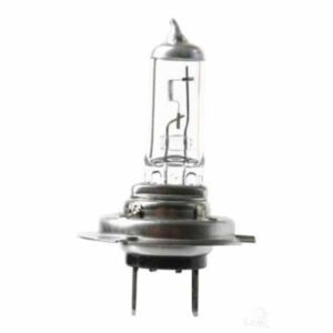 "Oex H7 Globe 12V 55W Xenon Plus 30 - 1 Piece | Bright & Powerful Headlight Bulb"