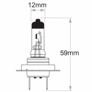 "Oex H7 Globe 12V 55W Long Life - 1 Piece | Long-Lasting, High-Quality Bulb"