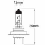 "Heavy Duty Oex Globe H7 24V 70W 50 - 2 Piece Set"