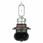 "Oex Hb3 Globe 12V 60W Standard - 1 Piece | Brighten Up Your Home"