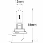 "Oex Hb3 Globe 12V 60W Standard - 1 Piece | Brighten Up Your Home"