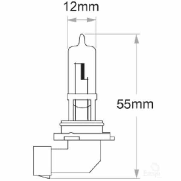 "Oex Hb3 Globe 12V 60W Standard - 1 Piece | Brighten Up Your Home"