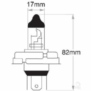 "Oex R2 Globe 24V 55/50W Standard - 1 Piece | High Quality Lighting Solution"