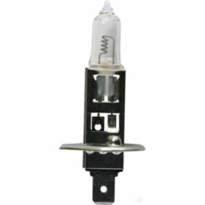 "Oex H1 Globe 12V 100W Standard - 1 Piece | High Quality, Durable Lighting"