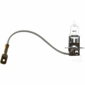 "Oex H3 Globe 12V 55W Long Life Bulb - 1 Piece | Long-Lasting, High-Quality Lighting"