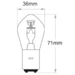 "Oex S2 Globe 12V 45/40W Standard: High-Performance Lighting for Your Home"