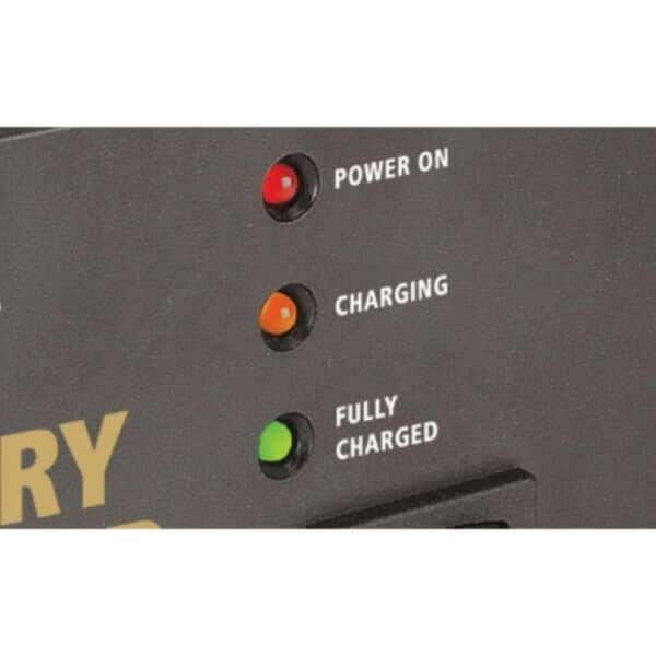 "24V 3500Ma 2 Stage Truck Battery Charger: Projecta Charge N Maintain Ac600-24"