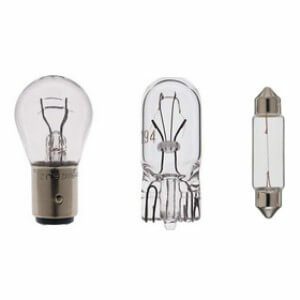 Bulbs